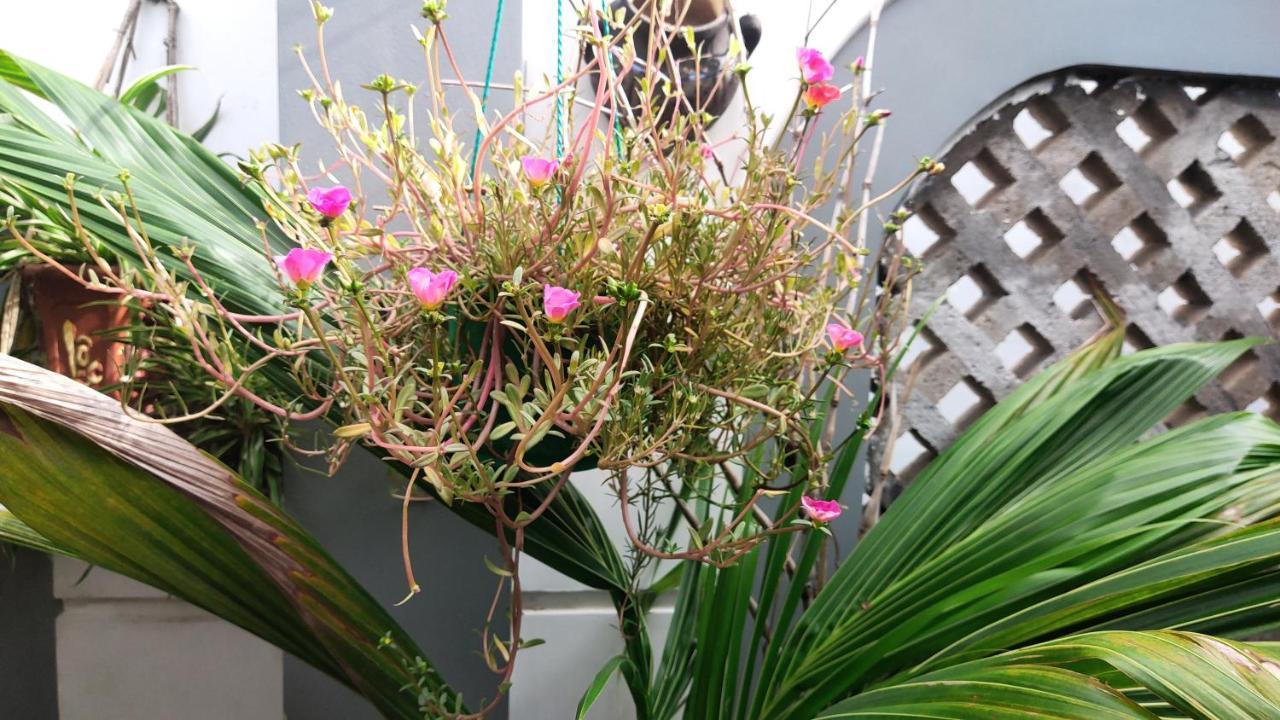 Homestay Nha Muoi Quy Nhon Buitenkant foto